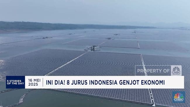 Video: Kuota Impor Kerbau Dipangkas